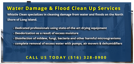 Whistle Clean Water Damage Cleaning
