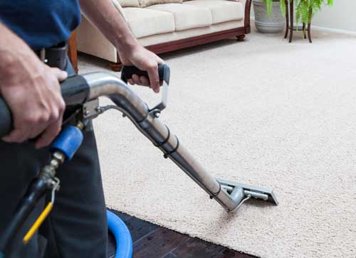 Whistle Clean Long Island Carpet Cleaning