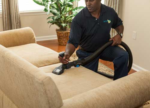 Whistle Clean Upholstery Cleaning