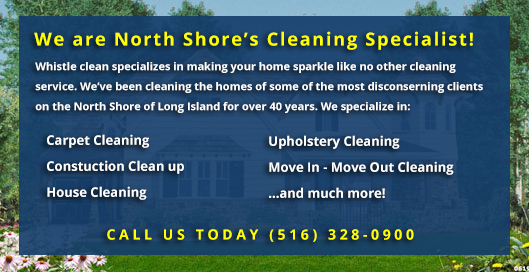 Long Island Home Cleaning Services